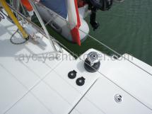 Davits electric winch