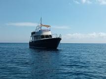 AYC YACHT BROKER - SWIFT TRAWLER 42